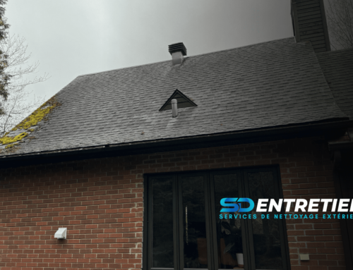 Préparez votre toiture pour le printemps : dites adieu à la mousse et aux saletés accumulées cet hiver !